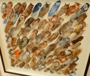 Bird prints on feathers by Rebecca Jewell